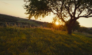 Sounds of Sicily